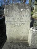 image of grave number 376364